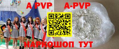 гашик Дмитров