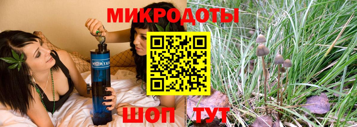 Псилоцибиновые грибы Psilocybe Георгиевск