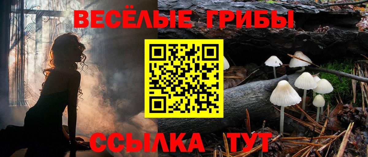 Галлюциногенные грибы мицелий  Георгиевск 