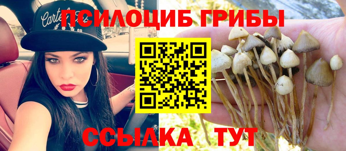 Галлюциногенные грибы мухоморы  Галлюциногенные грибы Psilocybe  Георгиевск  Вход с VPN 
